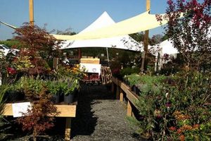 Your Local Garden Nursery in Frederick MD: Plants & More! | The Ultimate Gardening Guide: Grow a Thriving Garden Year-Round