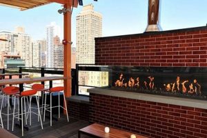 Best Bars Near Madison Square Garden: Your Pre/Post Game Spot | The Ultimate Gardening Guide: Grow a Thriving Garden Year-Round