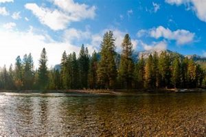 Watch Garden Valley TV Online: Local & More | The Ultimate Gardening Guide: Grow a Thriving Garden Year-Round