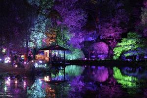 Richmond's Garden Glow: A Dazzling Light Show! | The Ultimate Gardening Guide: Grow a Thriving Garden Year-Round