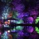 Richmond's Garden Glow: A Dazzling Light Show! | The Ultimate Gardening Guide: Grow a Thriving Garden Year-Round