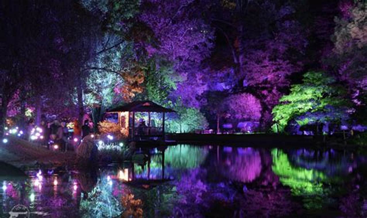 Richmond's Garden Glow: A Dazzling Light Show! | The Ultimate Gardening Guide: Grow a Thriving Garden Year-Round