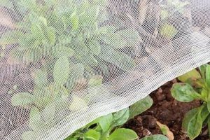 [Guide] Garden Netting for Insects: Protect Your Plants! | The Ultimate Gardening Guide: Grow a Thriving Garden Year-Round