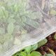 [Guide] Garden Netting for Insects: Protect Your Plants! | The Ultimate Gardening Guide: Grow a Thriving Garden Year-Round