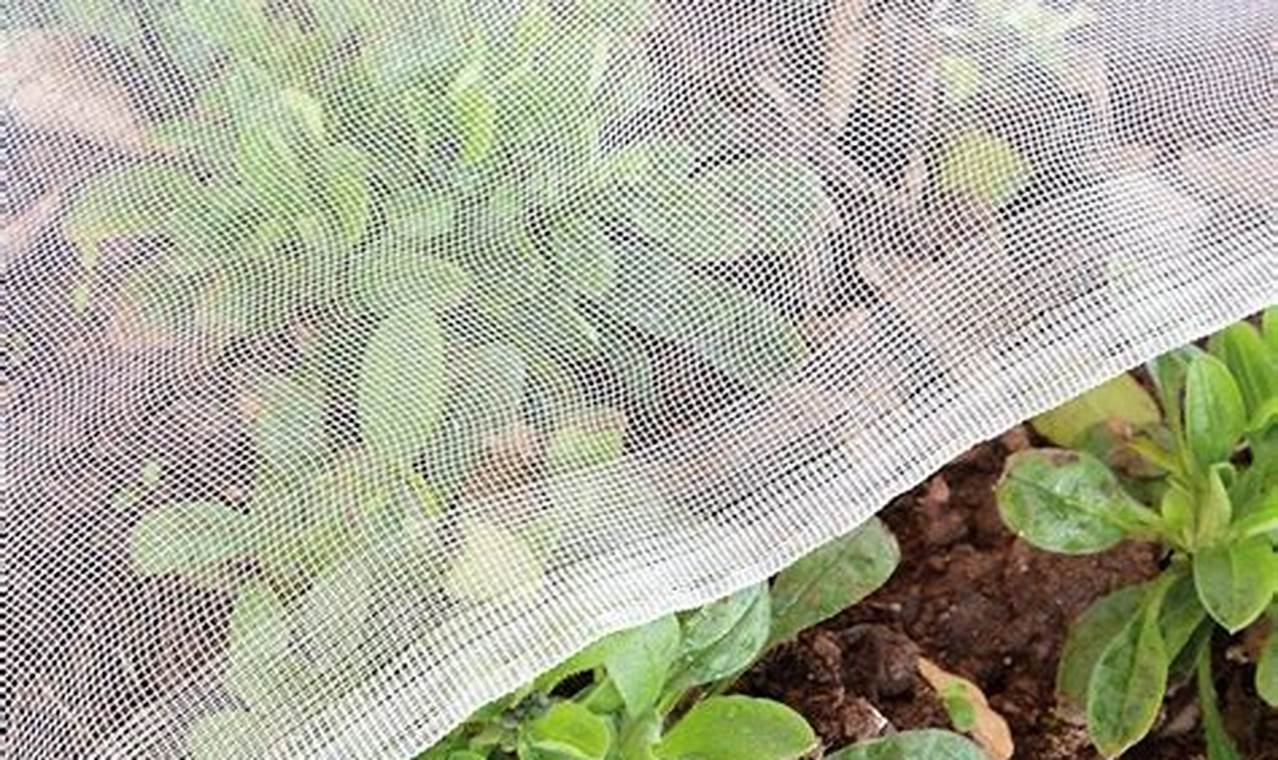 [Guide] Garden Netting for Insects: Protect Your Plants! | The Ultimate Gardening Guide: Grow a Thriving Garden Year-Round