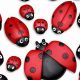 Add Charm: Ladybug Garden Decor Ideas & More! | The Ultimate Gardening Guide: Grow a Thriving Garden Year-Round