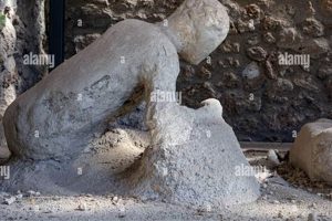 Sanctuary: The Garden of the Fugitives &amp; Safe Havens | The Ultimate Gardening Guide: Grow a Thriving Garden Year-Round