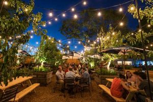 Find Your Perfect Outdoor Beer Garden Near You! | The Ultimate Gardening Guide: Grow a Thriving Garden Year-Round