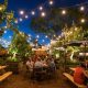Find Your Perfect Outdoor Beer Garden Near You! | The Ultimate Gardening Guide: Grow a Thriving Garden Year-Round