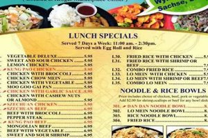 Your Rice Garden Wylie Guide: Cultivation & Care | The Ultimate Gardening Guide: Grow a Thriving Garden Year-Round