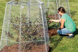 Protect Your Garden: Garden Cages for Plants & Beyond! The Ultimate Gardening Guide: Grow a Thriving Garden Year-Round Protect Your Garden: Garden Cages for Plants & Beyond! | The Ultimate Gardening Guide: Grow a Thriving Garden Year-Round