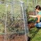 Protect Your Garden: Garden Cages for Plants & Beyond! | The Ultimate Gardening Guide: Grow a Thriving Garden Year-Round