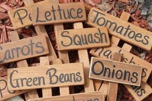 Spotting Garden Plant Signs: A Visual Guide | The Ultimate Gardening Guide: Grow a Thriving Garden Year-Round