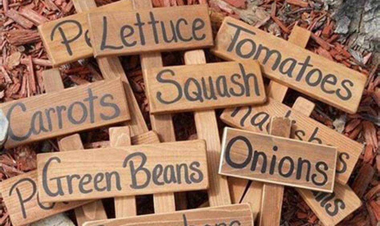 Spotting Garden Plant Signs: A Visual Guide | The Ultimate Gardening Guide: Grow a Thriving Garden Year-Round