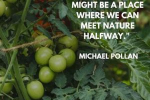 Best Witty Garden Quotes: Grow a Laugh! | The Ultimate Gardening Guide: Grow a Thriving Garden Year-Round