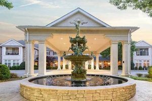 Discover Garden Plaza Lawrenceville GA: Shops & More! | The Ultimate Gardening Guide: Grow a Thriving Garden Year-Round