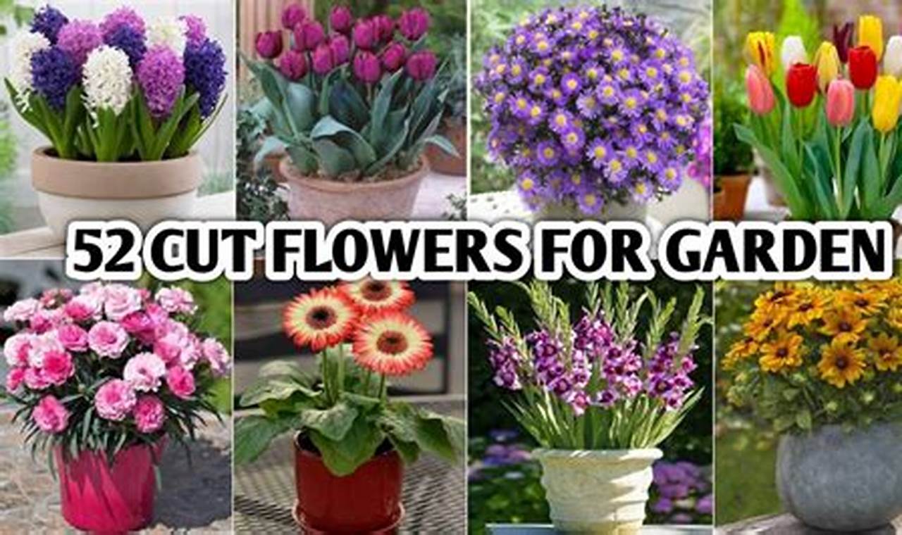 Grow the Best Cut Flowers for Your Garden: Blooms & Beauty The Ultimate Gardening Guide: Grow a Thriving Garden Year-Round Grow the Best Cut Flowers for Your Garden: Blooms & Beauty | The Ultimate Gardening Guide: Grow a Thriving Garden Year-Round