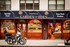 Discover Garden of Eden NYC: Your Urban Oasis Guide! The Ultimate Gardening Guide: Grow a Thriving Garden Year-Round Discover Garden of Eden NYC: Your Urban Oasis Guide! | The Ultimate Gardening Guide: Grow a Thriving Garden Year-Round
