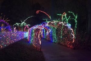 Shine Bright: Garden of Lights Brookside Magic! | The Ultimate Gardening Guide: Grow a Thriving Garden Year-Round