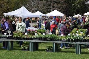 Find Your Spring Garden Market: Plants & More! | The Ultimate Gardening Guide: Grow a Thriving Garden Year-Round