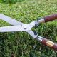 Best Hedge Garden Shears: Trim Like a Pro! | The Ultimate Gardening Guide: Grow a Thriving Garden Year-Round