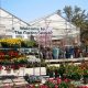 Local Garden Jobs: Centers Hiring Near Me Today! | The Ultimate Gardening Guide: Grow a Thriving Garden Year-Round