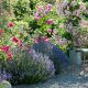 Create an Aromatic Garden Oasis: Fragrant Plants | The Ultimate Gardening Guide: Grow a Thriving Garden Year-Round