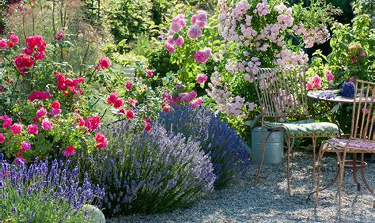 Create an Aromatic Garden Oasis: Fragrant Plants