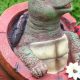 Enchanting Turtle Garden Sculptures: Art for Your Oasis! | The Ultimate Gardening Guide: Grow a Thriving Garden Year-Round