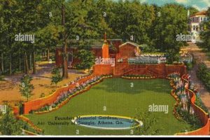 A Guide to the Founders Memorial Garden: History & Design The Ultimate Gardening Guide: Grow a Thriving Garden Year-Round A Guide to the Founders Memorial Garden: History & Design | The Ultimate Gardening Guide: Grow a Thriving Garden Year-Round