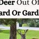 Garden Secrets: How to Keep Deer Out of Your Garden Easily | The Ultimate Gardening Guide: Grow a Thriving Garden Year-Round