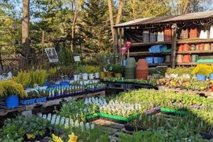 Discover Secret Garden Philadelphia: Hidden Gems! | The Ultimate Gardening Guide: Grow a Thriving Garden Year-Round