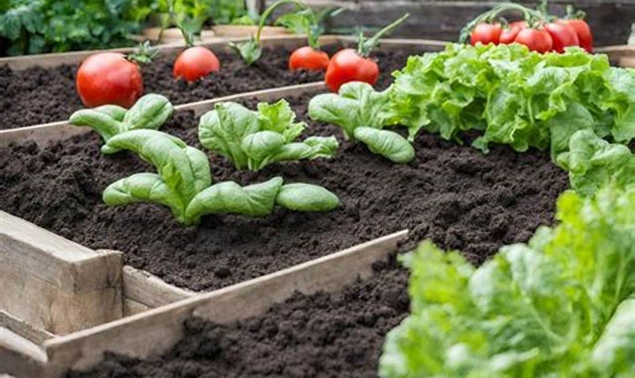 Grow Great Garden Soil Vegetables: Easy Guide + Tips! The Ultimate Gardening Guide: Grow a Thriving Garden Year-Round Grow Great Garden Soil Vegetables: Easy Guide + Tips! | The Ultimate Gardening Guide: Grow a Thriving Garden Year-Round