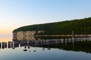 Grow More: Garden Peninsula Secrets Revealed | The Ultimate Gardening Guide: Grow a Thriving Garden Year-Round