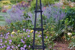 Garden Obelisk: History & Beauty in Your Garden | The Ultimate Gardening Guide: Grow a Thriving Garden Year-Round