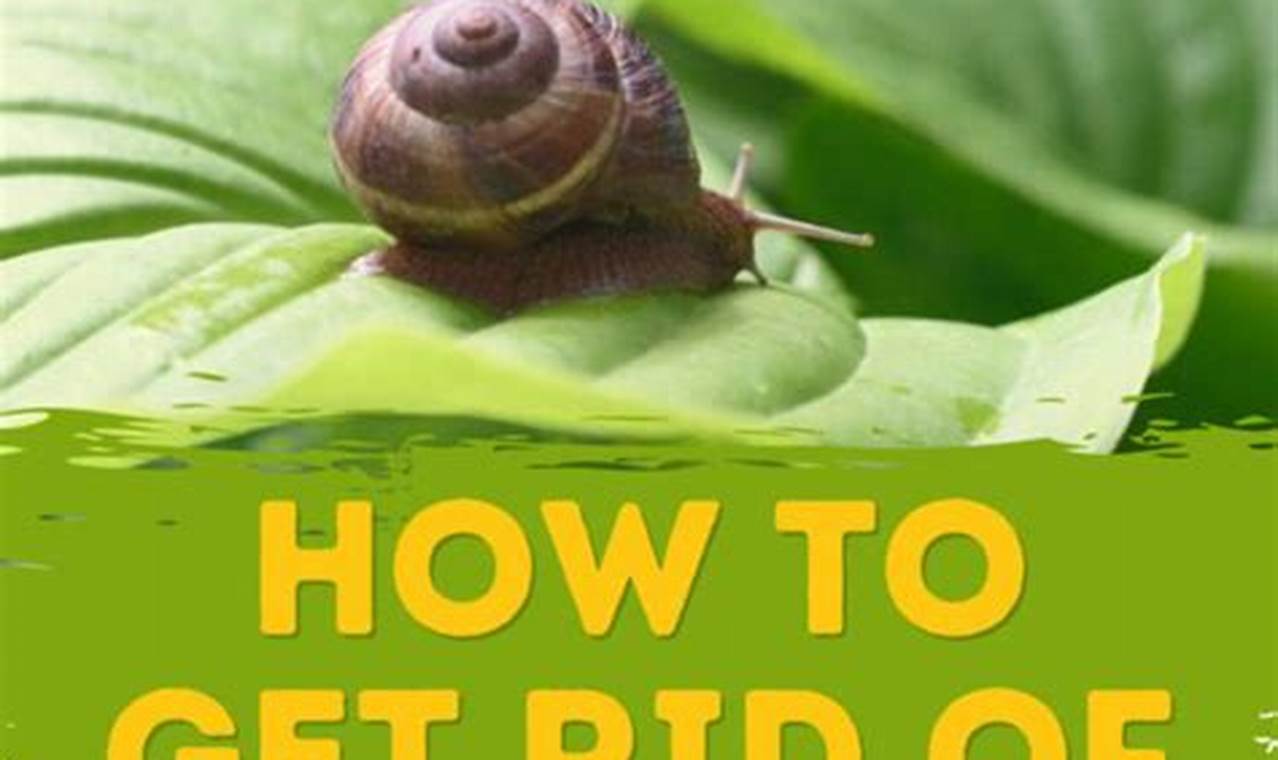 Easy How-To: Get Rid of Snails in Garden Fast! | The Ultimate Gardening Guide: Grow a Thriving Garden Year-Round