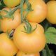 Grow Delicious: Garden Peach Tomato Secrets & Tips | The Ultimate Gardening Guide: Grow a Thriving Garden Year-Round