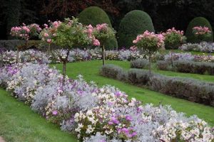 Create Your Reos Garden Oasis: Tips & Design The Ultimate Gardening Guide: Grow a Thriving Garden Year-Round Create Your Reos Garden Oasis: Tips & Design | The Ultimate Gardening Guide: Grow a Thriving Garden Year-Round