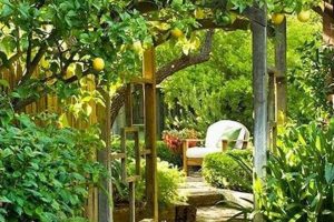 Creating a Whimsical Garden Retreat: Decor & Ideas The Ultimate Gardening Guide: Grow a Thriving Garden Year-Round Creating a Whimsical Garden Retreat: Decor & Ideas | The Ultimate Gardening Guide: Grow a Thriving Garden Year-Round