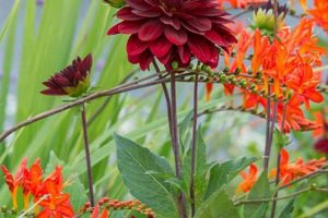 Top Great Garden Plants Reviews: Grow Beautiful Gardens! | The Ultimate Gardening Guide: Grow a Thriving Garden Year-Round