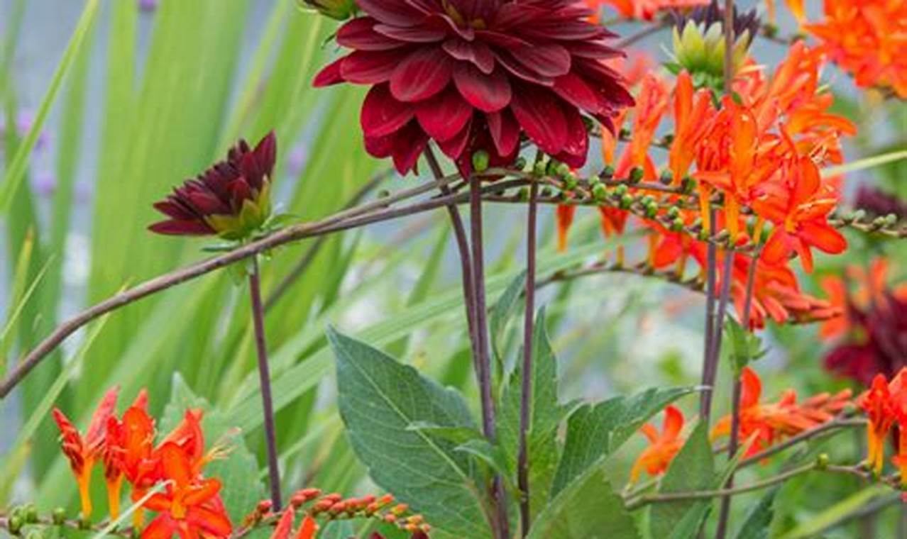 Top Great Garden Plants Reviews: Grow Beautiful Gardens! | The Ultimate Gardening Guide: Grow a Thriving Garden Year-Round