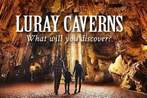 Explore the Garden Maze at Luray Caverns: A-Maze-ing Fun! | The Ultimate Gardening Guide: Grow a Thriving Garden Year-Round