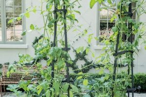 Elevate Your Garden: Garden Trellis Obelisk Ideas & Designs | The Ultimate Gardening Guide: Grow a Thriving Garden Year-Round