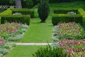 Create Your Dream Oak Garden Oasis Today! | The Ultimate Gardening Guide: Grow a Thriving Garden Year-Round