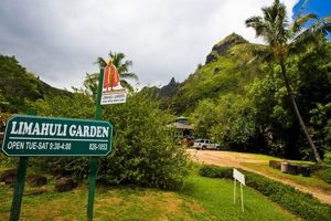 Discover Limahuli Garden: A Kauai Paradise Awaits! | The Ultimate Gardening Guide: Grow a Thriving Garden Year-Round