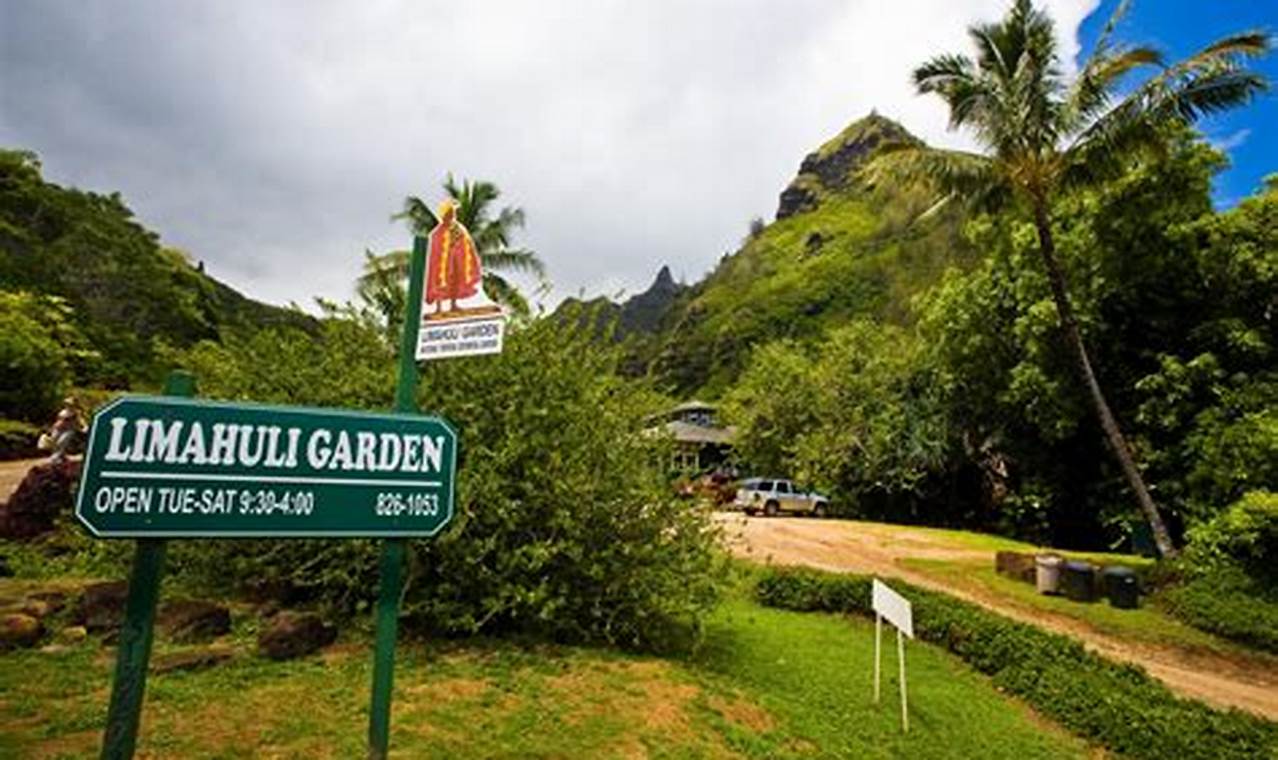 Discover Limahuli Garden: A Kauai Paradise Awaits! | The Ultimate Gardening Guide: Grow a Thriving Garden Year-Round