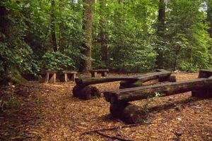 Explore Woodlands Garden in Decatur, GA: A Native Haven | The Ultimate Gardening Guide: Grow a Thriving Garden Year-Round