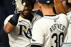 Garden Hack: Does Chili Powder Keep Blue Jays Away? | The Ultimate Gardening Guide: Grow a Thriving Garden Year-Round