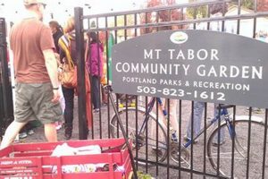 Discover Mt Tabor Community Garden: Grow & Thrive! | The Ultimate Gardening Guide: Grow a Thriving Garden Year-Round