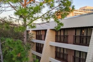 Discover: Contemporary Resort Garden Wing Oasis (2024) | The Ultimate Gardening Guide: Grow a Thriving Garden Year-Round